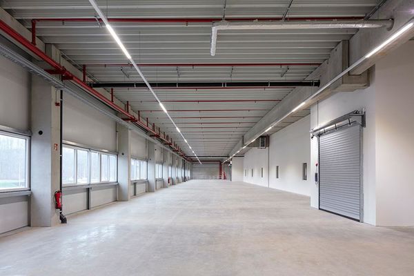 Hammer GmbH & Co. KG, Advanced Logistics - 11.02.20