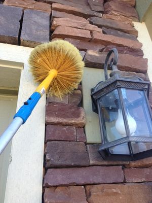 Bug Zapper Pest Control - 24.01.17