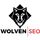 Wolven SEO - 06.12.18