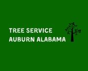 Tree Service Auburn Alabama - 30.10.20