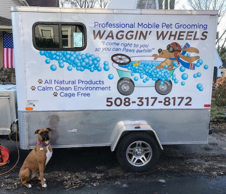 Waggin Wheels Mobile Pet Grooming - 10.02.20