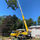 Martel Crane Service & Tree Removal - 29.09.20