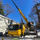 Martel Crane Service & Tree Removal - 07.01.21