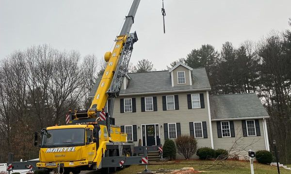 Martel Crane Service & Tree Removal - 13.12.21