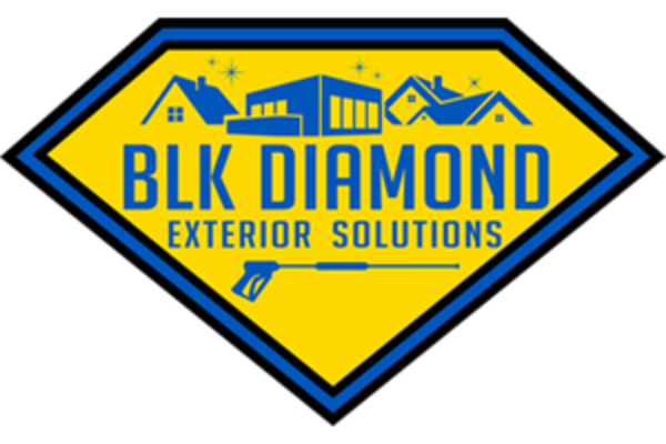 BLK Diamond Exterior Solutions - 10.02.20