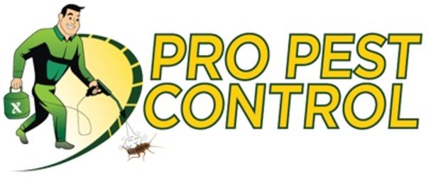 Pro Pest Control Brooklyn - 04.07.18