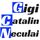 Gigi Catalin Neculai - Financial Advisor  Photo