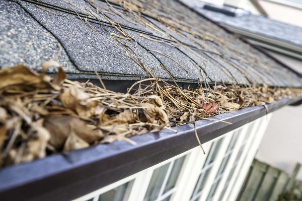 Clean Pro Gutter Cleaning Colorado Springs - 23.12.20