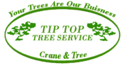 Tip Top Tree Service - 10.02.20