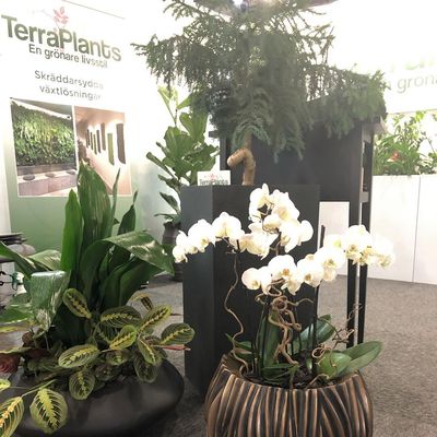 TerraPlants AB - 07.05.19