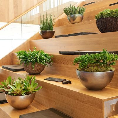 TerraPlants AB - 07.05.19
