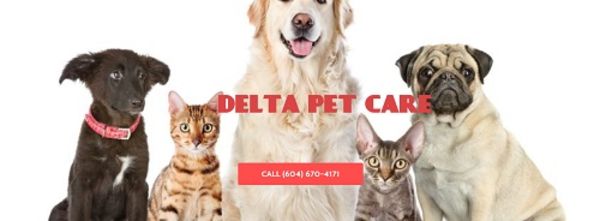 Delta Pet Care - 07.11.17
