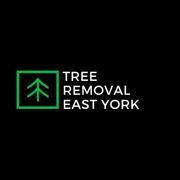 Tree Removal East York - 04.07.18