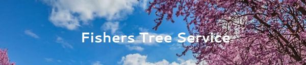 Fishers Tree Service - 28.04.21