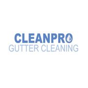 Clean Pro Gutter Cleaning Flint - 23.12.20