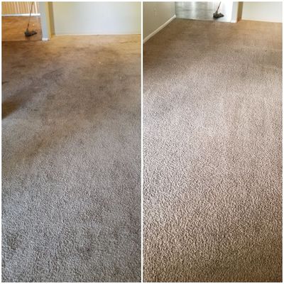 Carpet and janitorial J&J - 18.11.21