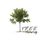 Tree Tutoring LLC Photo