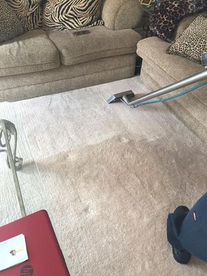 Crystal Steem Carpet Cleaner - 12.09.19