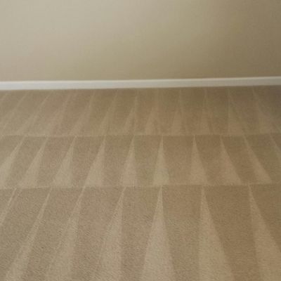 Crystal Steem Carpet Cleaner - 12.09.19