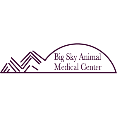 Big Sky Animal Medical Center - 20.04.20