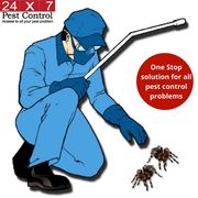 24x7 Pest Control - 04.07.20
