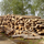 Prodej palivového dřeva – Jan Stuchlík Ing. - 10.08.18