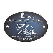 Levie Performance Horses - 02.04.15