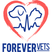 Forever Vets Animal Hospital at Baymeadows - 12.08.21