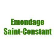 Emondage Saint-Constant - 18.11.21