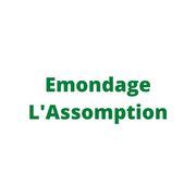 Emondage L'Assomption - 06.12.21