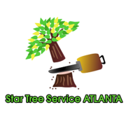 Star Tree Service Atlanta - 08.02.20