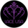 Lace USA Photo