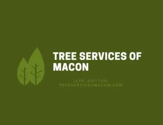 Tree Services of Macon - 28.07.20