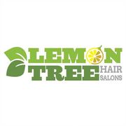Lemon Tree Hair Salon Mamaroneck - 13.01.23
