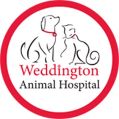 Weddington Animal Hospital - 17.11.18