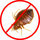 Bed Bugs Control Melbourne Photo