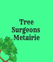 Tree Surgeons of Metairie - 16.06.20