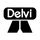 Delvi, Inc. Photo