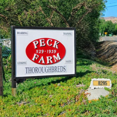 Peck Farm - 10.02.20