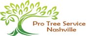 Pro Tree Service Nashville - 13.02.20