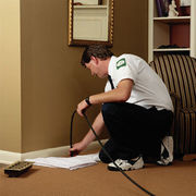 Forest Hills Carpet Cleaning Pros - 05.06.13