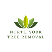 Tree Removal North York - 08.07.18