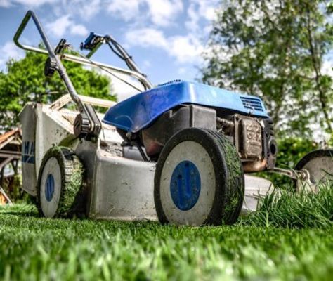 Clipper Tree Service of Orland Park - 20.07.20