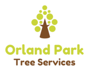 Orland Park Tree Services - 19.06.21
