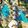 Hilton Grand Vacations Club SeaWorld Orlando - 27.04.21