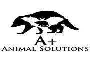 A+ Animal Solutions - 24.07.20