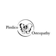 Pimlico Osteopathy - 08.02.20