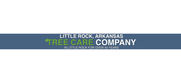 Little Rock Tree Service - 18.01.19