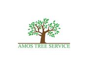 Amos - Pittsburgh Tree Service Co. - 21.05.19