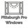 Pittsburgh Pro windows Photo